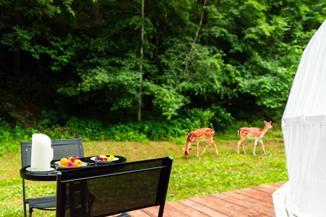 Solace Glamping 2 Sevierville Exterior foto